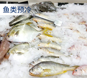 這類制冰機(jī)的特點或選購指南 這類制冰機(jī)的特點或選購指南