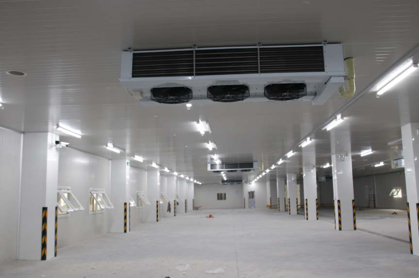 干貨！冷庫設(shè)備節(jié)能的四種方法