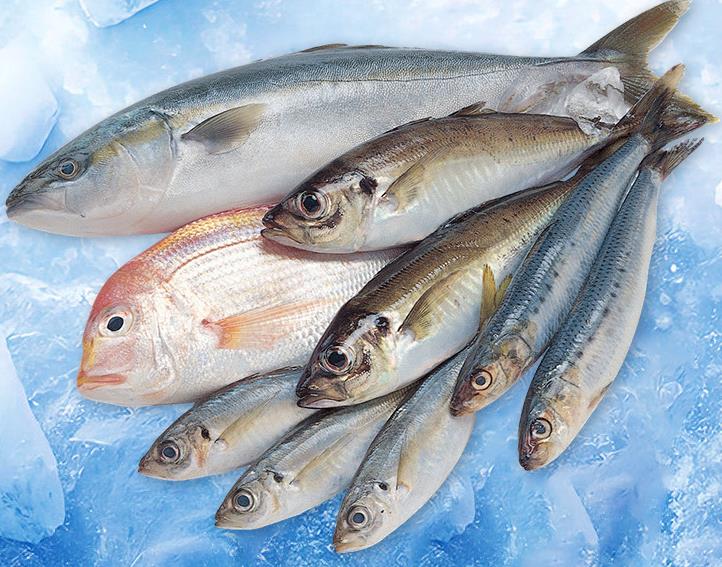 保持20噸制冰機(jī)的高效運(yùn)行