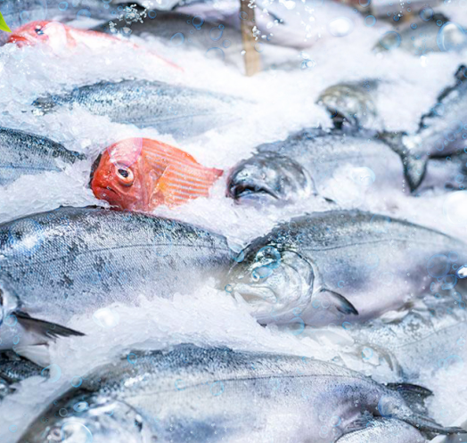 海鮮運(yùn)輸、食品加工