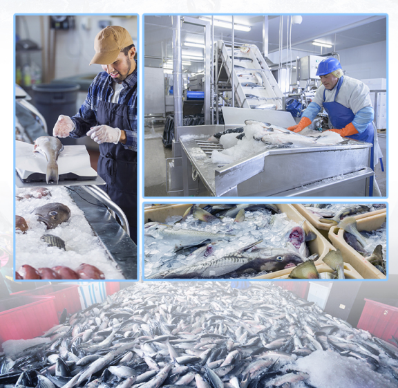 自動(dòng)加水、制冰到脫冰，全過程不需要人工干涉