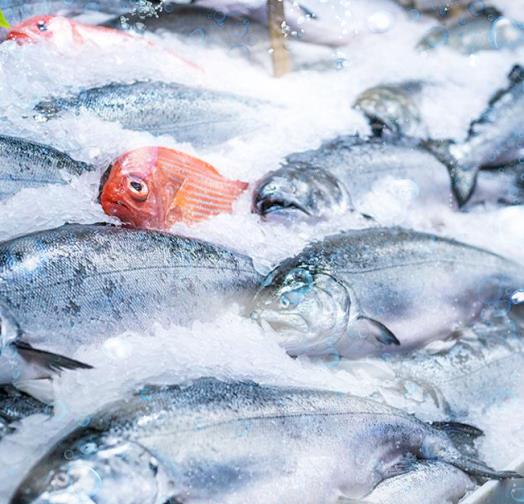 三、適用行業(yè)?