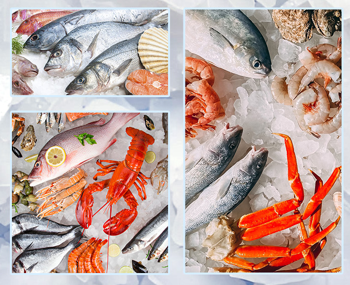 專門針對海鮮冷藏的特殊需求而設計 專門針對海鮮冷藏的特殊需求而設計