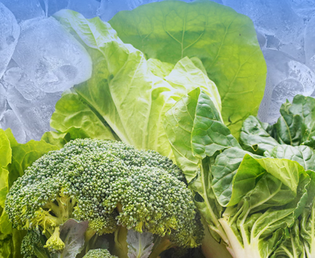 應(yīng)用場(chǎng)景