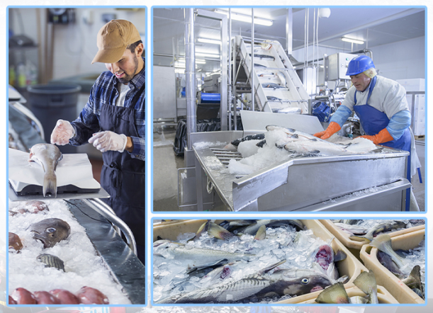 在漁業(yè)中，能滿足大量海產(chǎn)品的冷藏需求